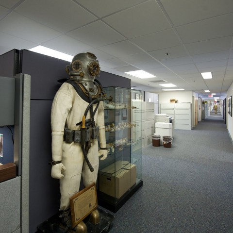 LLS_0451-99